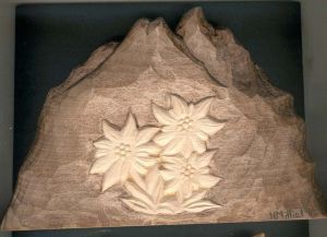 3 edelweiss sur fond de montagne