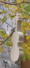 violoncelle 15cm a suspendre