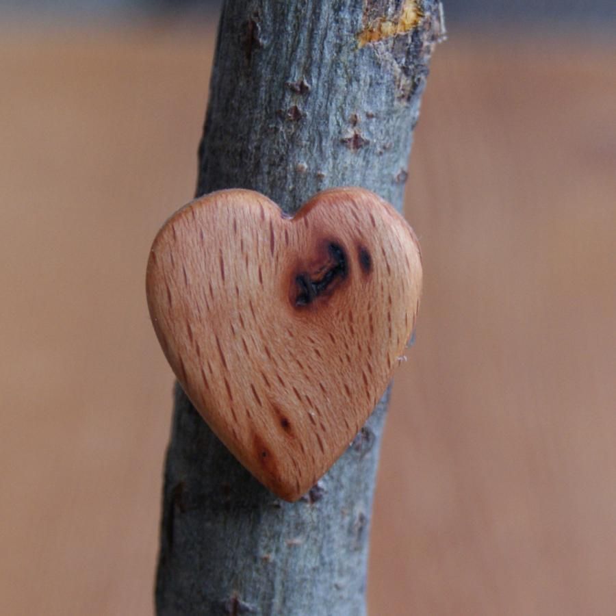 Bague cabochon en bois forme coeur Hetre avec noeud largeur 19mm