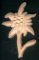 Edelweiss découpée sculptée  non cirée